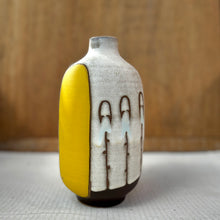Load image into Gallery viewer, Lake Clay bottle vases
